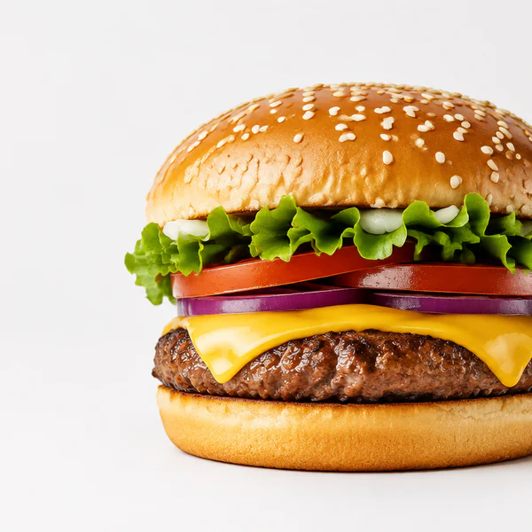 Normal Cheese Burger